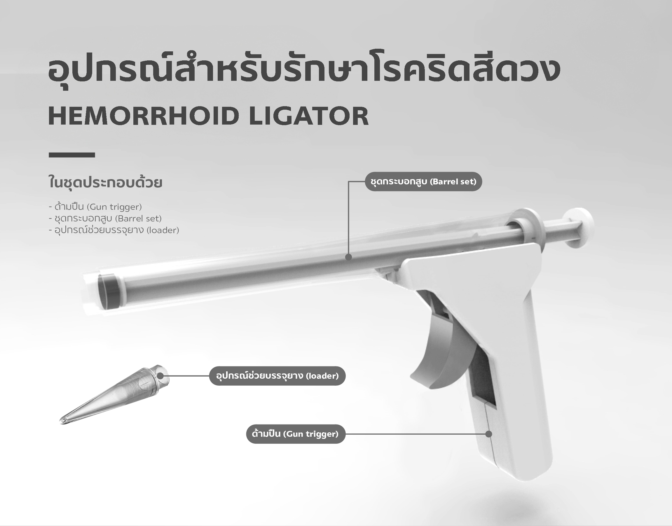 IMAGE - 4646